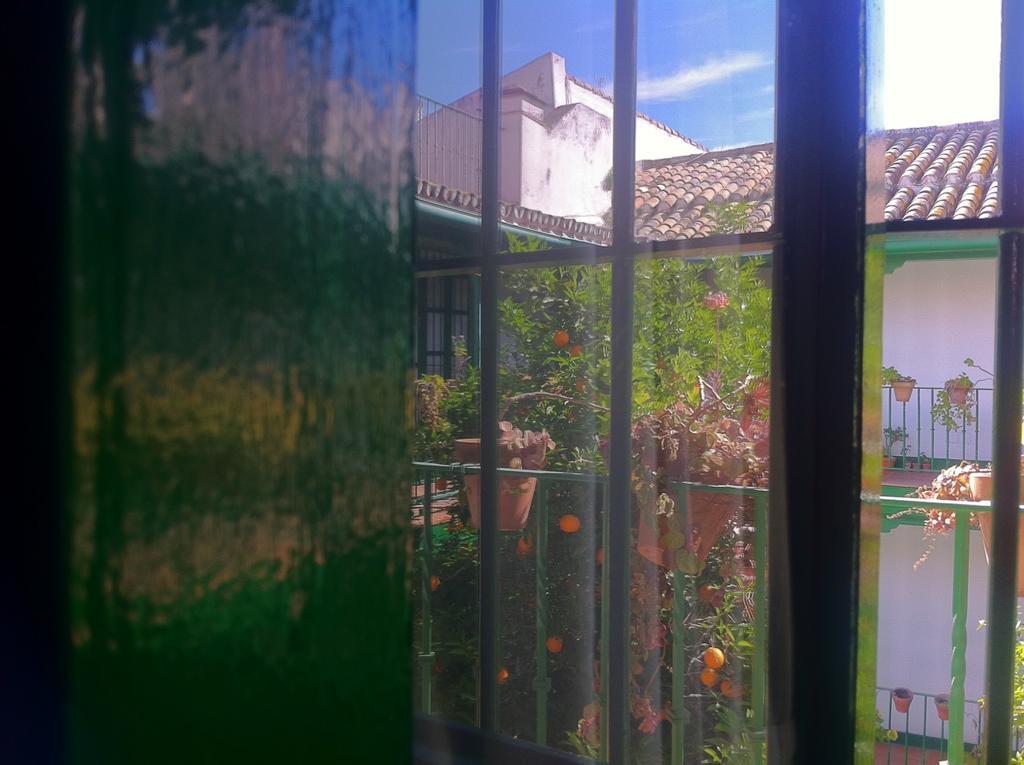 Apartment Tradicional Oasis Sevillano Sevilla